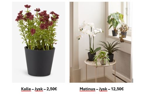 Decoracion-Jysk-Hogar-plantas