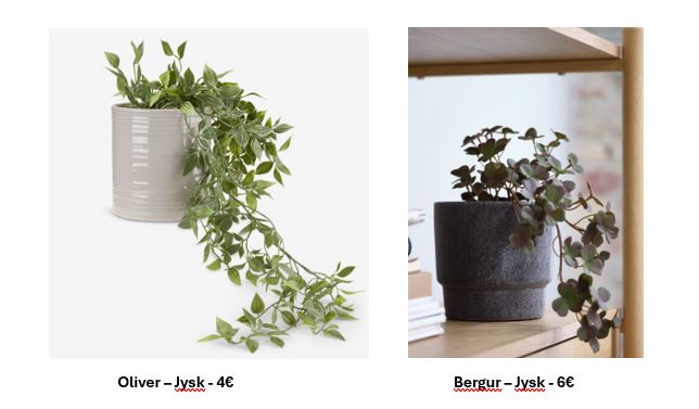 Jysk-decoracion-plantas-hogar